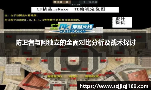 防卫者与阿独立的全面对比分析及战术探讨