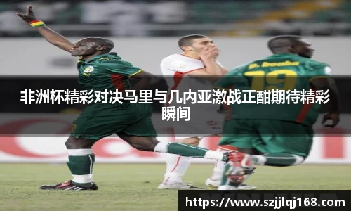 非洲杯精彩对决马里与几内亚激战正酣期待精彩瞬间
